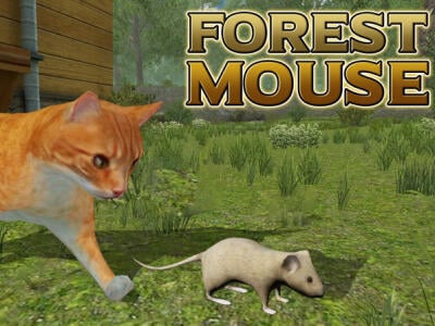 Forest Mouse