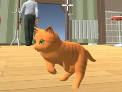 Cat Chaos Simulator